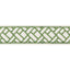 Brunschwig & Fils TORANA TAPE LEAF Trim