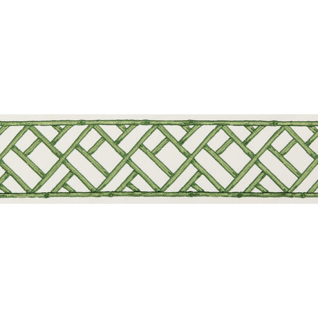 Brunschwig & Fils TORANA TAPE LEAF Trim