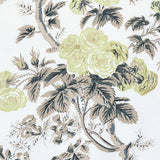 Schumacher Pyne Hollyhock Green Tea Fabric