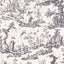 Schumacher Shengyou Toile Black Fabric