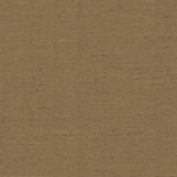 Kasmir Adjoin Cocoa Fabric