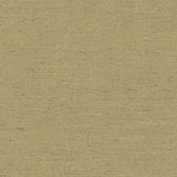 Kasmir Adjoin Latte Fabric