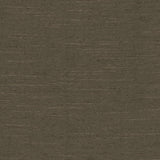 Kasmir Adjoin Mocha Fabric