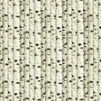 Kasmir Birch Midnight Fabric