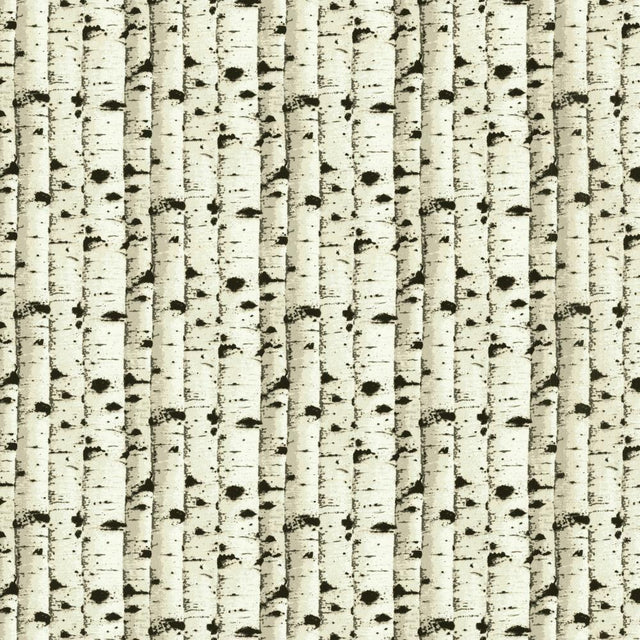 Kasmir Birch Midnight Fabric
