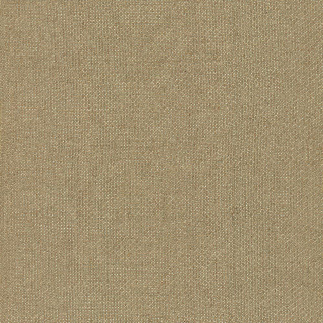 Kasmir Bruno Natural Fabric