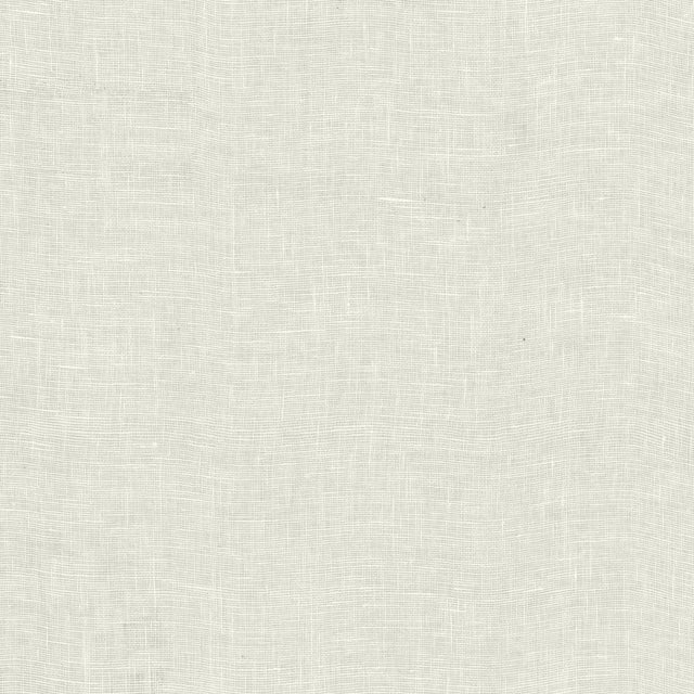 Kasmir Calcott Sheer Winter White Fabric