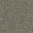 Kasmir Carissa Charcoal Fabric