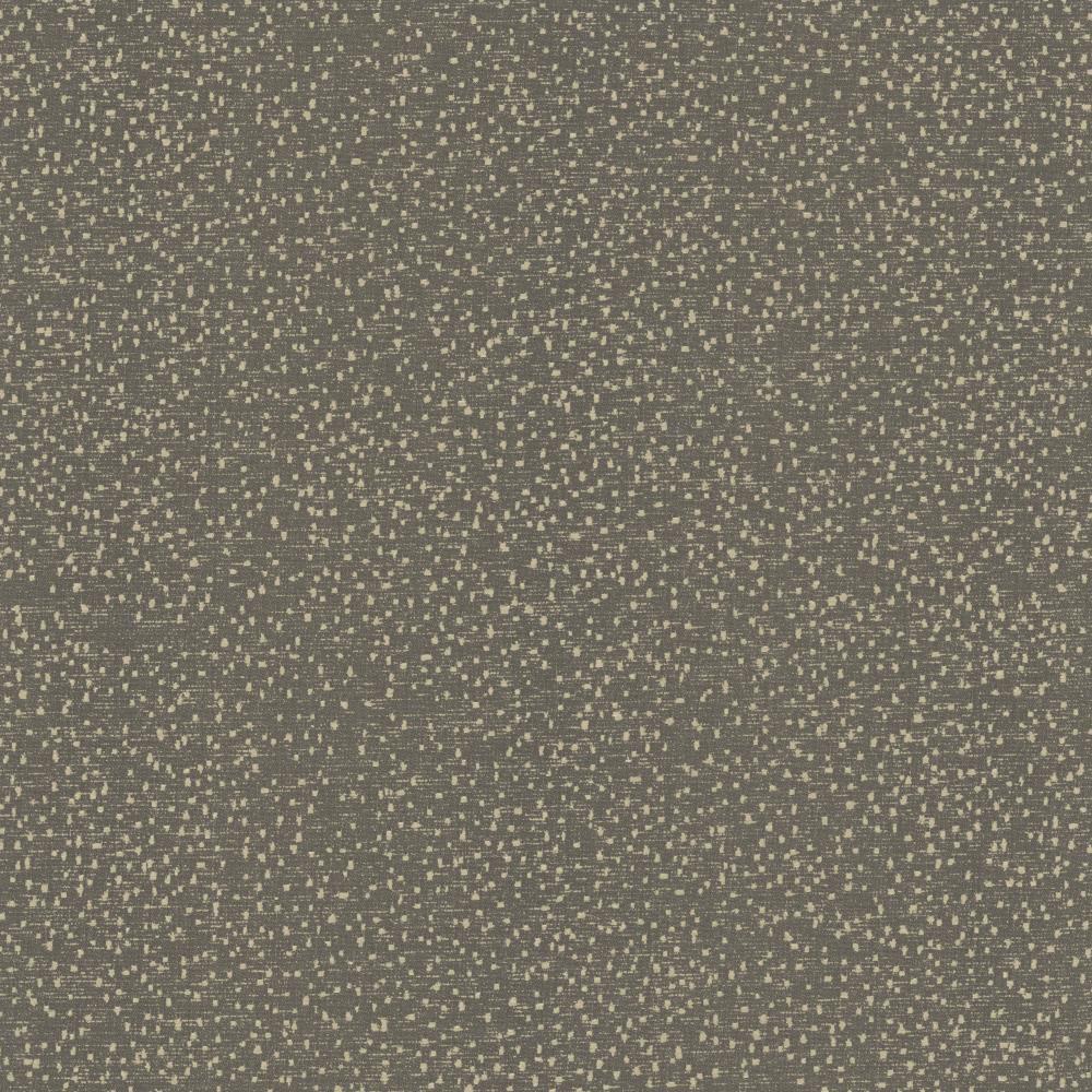 Kasmir Carissa Charcoal Fabric