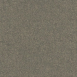 Kasmir Carissa Charcoal Fabric