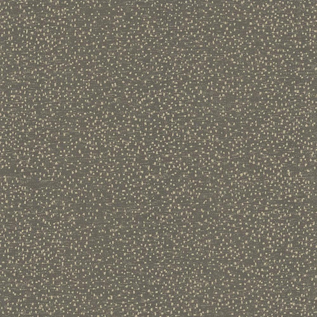 Kasmir Carissa Charcoal Fabric