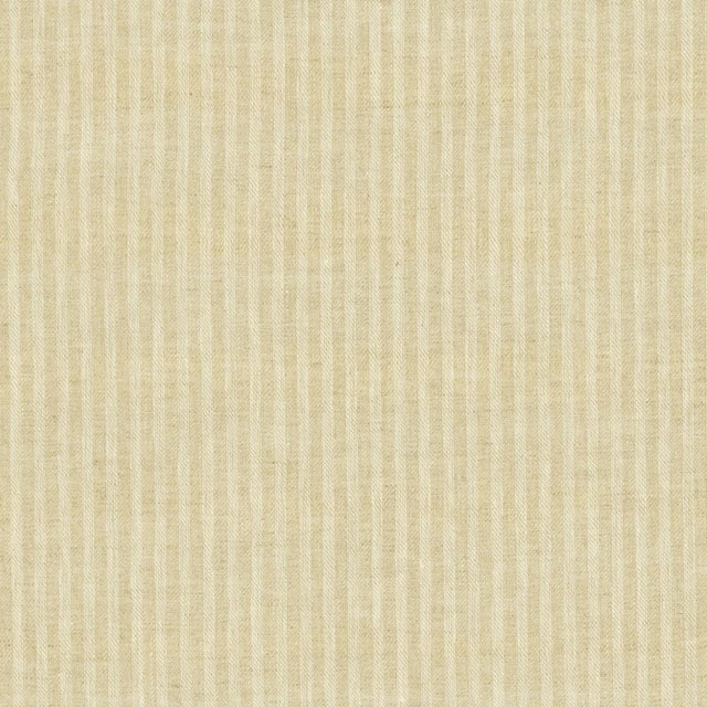 Kasmir Chaz Natural Fabric