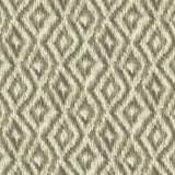 Kasmir Ciana Platinum Fabric