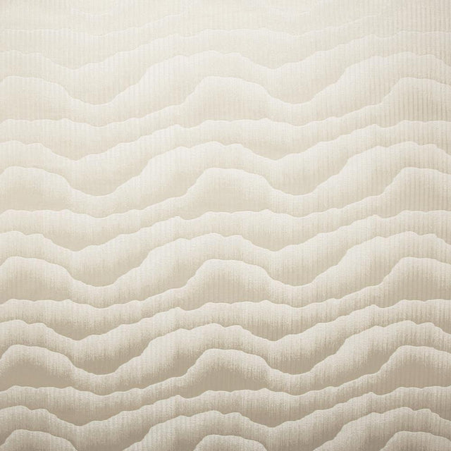 Kasmir Cloudy Day Fog Fabric