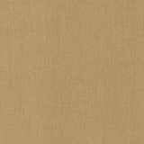 Kasmir Coby Linen Natural Fabric