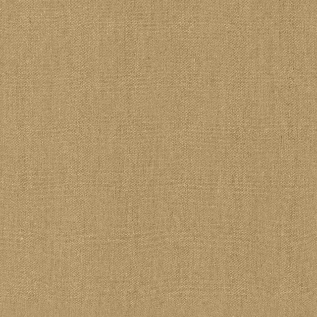Kasmir Coby Linen Natural Fabric