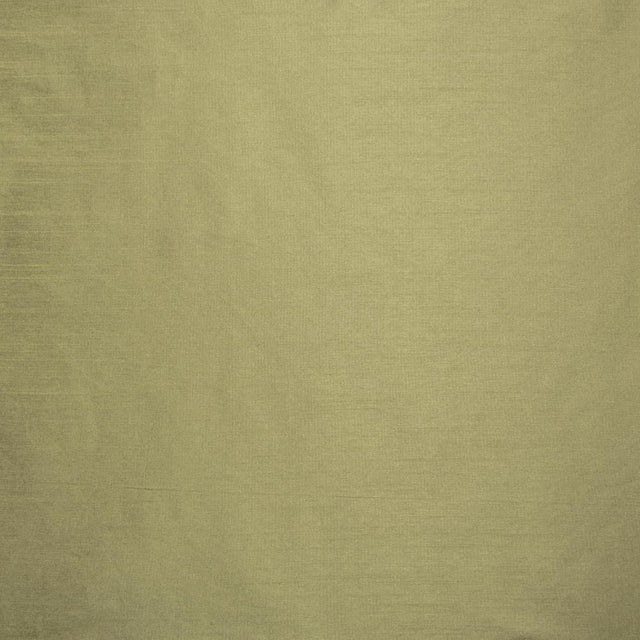 Kasmir Complementary Aloe Fabric