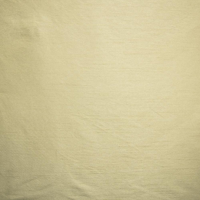 Kasmir Complementary Birch Fabric