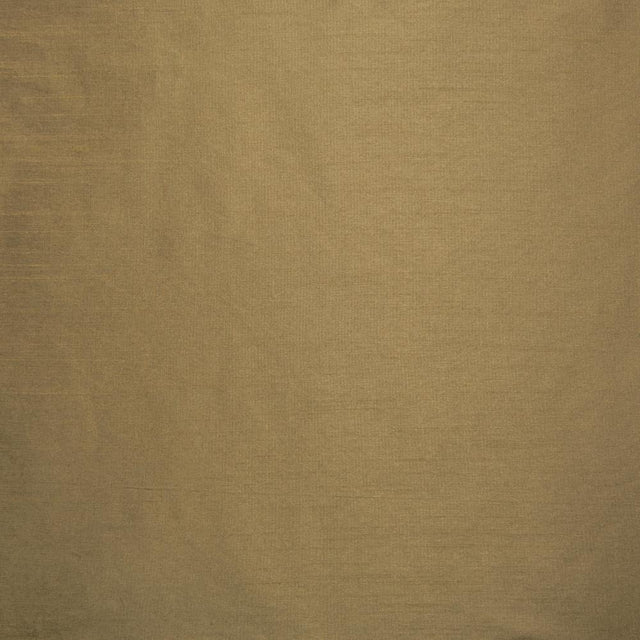 Kasmir Complementary Dark Beige Fabric