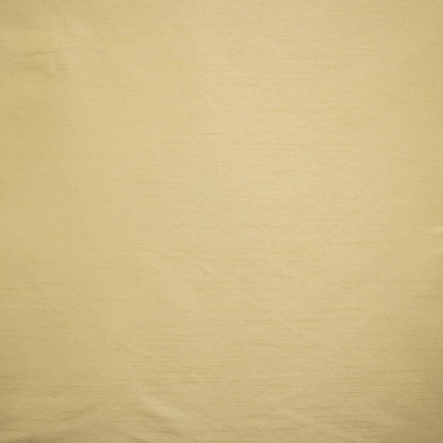 Kasmir Complementary Driftwood Fabric