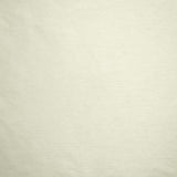 Kasmir Complementary Ivory Fabric