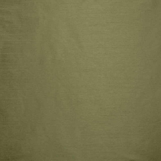 Kasmir Complementary Lichen Fabric