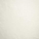 Kasmir Complementary White Fabric
