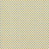 Kasmir Dash It Spring Fabric