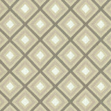 Kasmir Diamond Lattice Iron Fabric