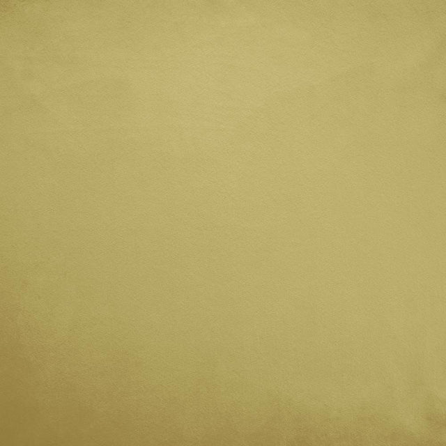 Kasmir Fr Savor Lime Fabric