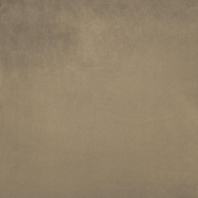 Kasmir Fr Savor Mink Fabric