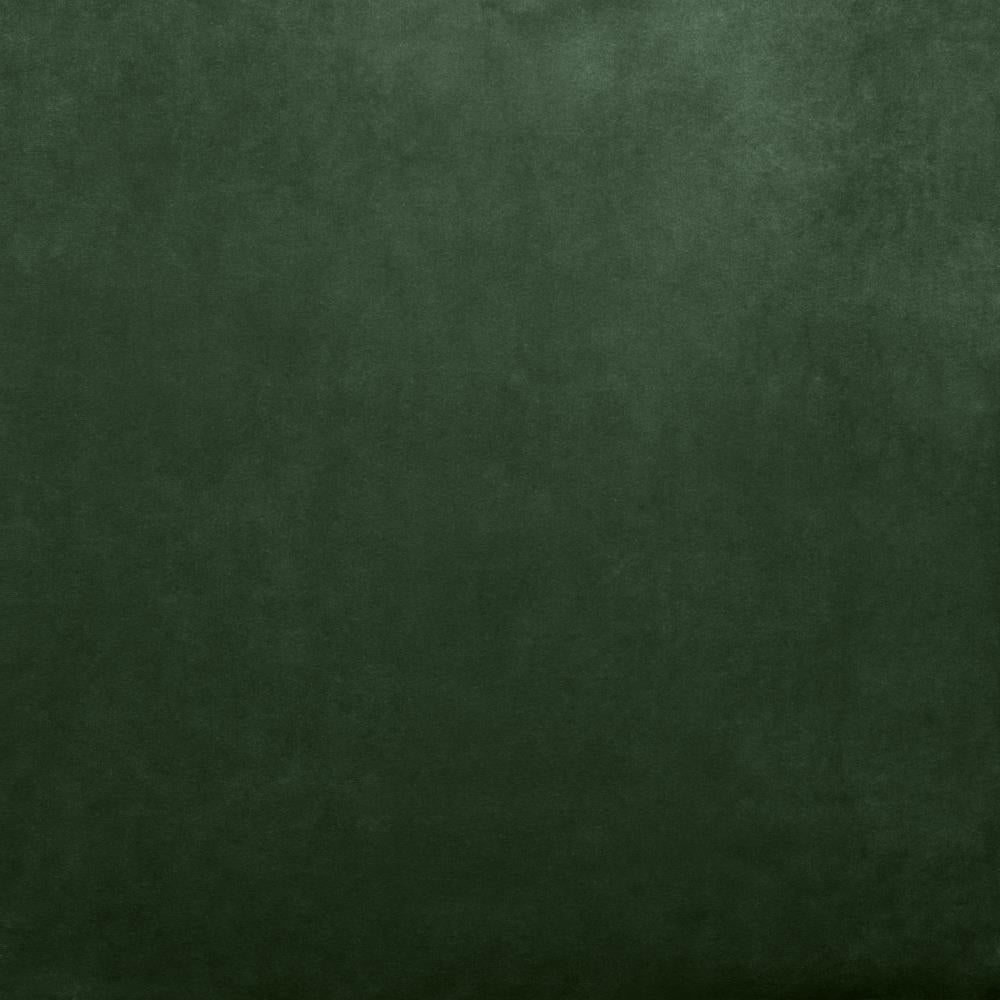 Kasmir Fr Savor Moss Fabric