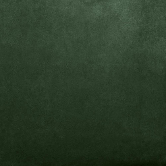 Kasmir Fr Savor Moss Fabric