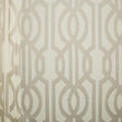 Kasmir Hope Fog Fabric
