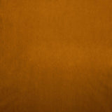 Kasmir Nampara Apricot Fabric