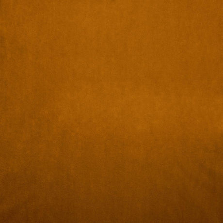 Kasmir Nampara Apricot Fabric