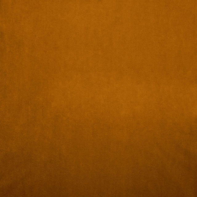 Kasmir Nampara Apricot Fabric