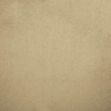 Kasmir Nampara Beige Fabric