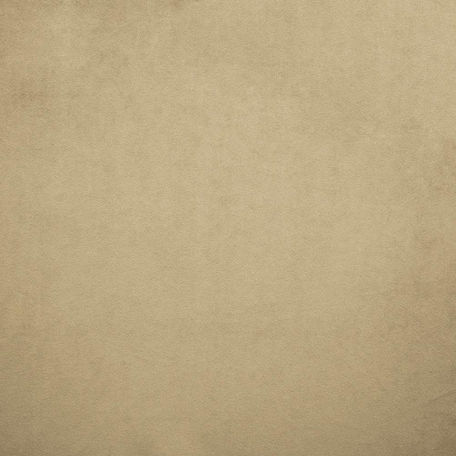 Kasmir Nampara Beige Fabric