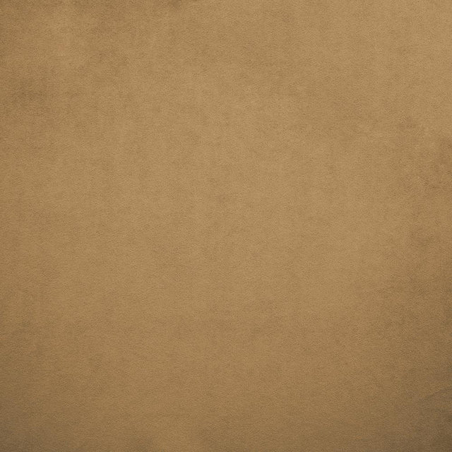 Kasmir Nampara Cappuccino Fabric