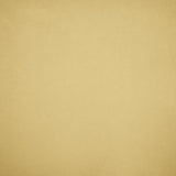 Kasmir Nampara Cream Fabric