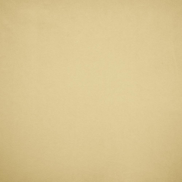 Kasmir Nampara Ecru Fabric