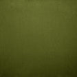 Kasmir Nampara Fern Fabric
