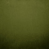 Kasmir Nampara Green Fabric