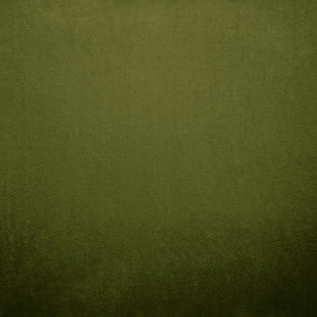 Kasmir Nampara Green Fabric