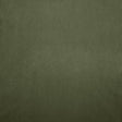 Kasmir Nampara Kiwi Fabric