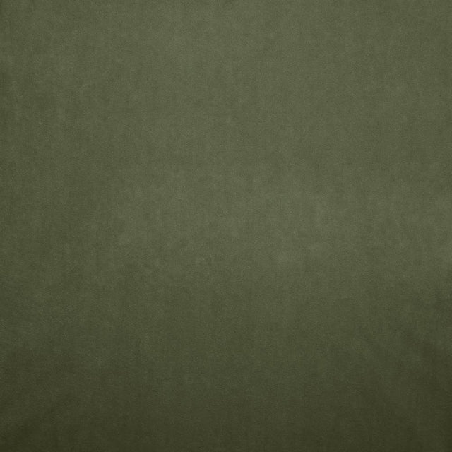 Kasmir Nampara Kiwi Fabric