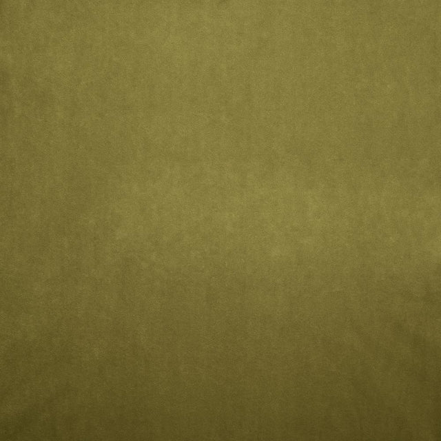 Kasmir Nampara Olive Fabric