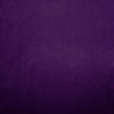 Kasmir Nampara Purple Fabric