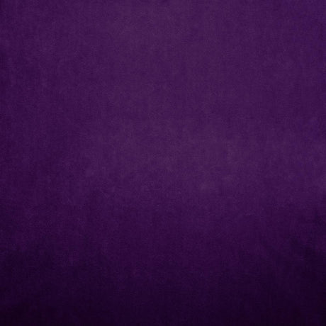 Kasmir Nampara Purple Fabric